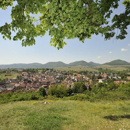 Готель Wein-Domizil Brennofen Ilbesheim bei Landau in der Pfalz Екстер'єр фото